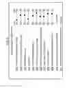 Fig. 11 - Robotic System Controlled by Multi Participants