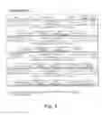 Fig. 07 - PROCESS AND APPARATUS FOR CONDUCTING AUCTIONS OVER ELECTRONIC NETWORKS