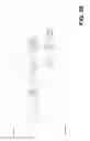 Fig. 32 - CURRENCY RECYCLER