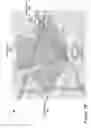 Fig. 11 - System for proving proactive zone information