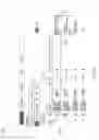 Fig. 10 - Excerpted content