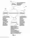 Fig. 04 - Organizing multimedia content