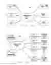 Fig. 08 - SYSTEM AND METHOD FOR THIRD PARTY REMOTE ACCESS TO PERSONAL MEDICAL RECORDS
