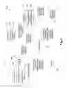 Fig. 04 - PROACTIVE TRANSMISSION OF NETWORK CONTENT