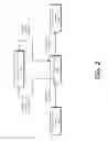 Fig. 03 - Graphic sharing