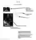 Fig. 23 - SYSTEMS AND DEVICES FOR ENCRYPTING, CONVERTING AND INTERACTING WITH MEDICAL IMAGES