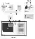 Fig. 06 - Apparatus and method for managing use of secure tokens