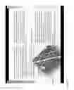 Fig. 22 - FOLDING AND UNFOLDING IMAGES IN A USER INTERFACE