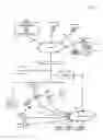 Fig. 04 - Method and system to communicate between host system and network of remote client computers linked to wireless mobile communication devices
