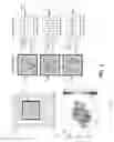 Fig. 10 - Physically unclonable function pattern matching for device identification
