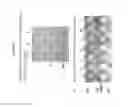 Fig. 05 - INDUCIBLE PROMOTER SEQUENCES FOR REGULATED EXPRESSION AND METHODS OF USE