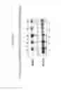 Fig. 07 - INDUCIBLE PROMOTER SEQUENCES FOR REGULATED EXPRESSION AND METHODS OF USE