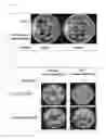 Fig. 04 - PLANT TRANSFORMANT, TRANSFORMATION METHOD FOR PLANT, AND VECTOR USED IN SAID METHOD