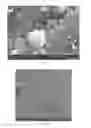 Fig. 03 - PROCESSING SEEDS BY COLD PLASMA TREATMENT TO REDUCE AN APPARENT CONTACT ANGLE OF SEEDS COAT SURFACE