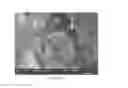 Fig. 04 - PROCESSING SEEDS BY COLD PLASMA TREATMENT TO REDUCE AN APPARENT CONTACT ANGLE OF SEEDS COAT SURFACE