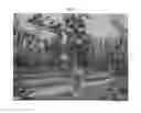 Fig. 02 - Apple tree named 'FUCIV51'