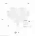 Fig. 02 - Picture Template
