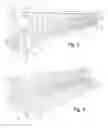 Fig. 03 - Mesh Lined Planter Box