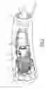 Fig. 03 - Engine comprising a rocket combustion chamber and a heat exchanger