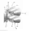 Fig. 01 - NOZZLE ARRANGEMENT FOR AN ENGINE