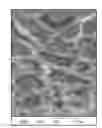 Fig. 01 - Method for enhancing soil growth using bio-char