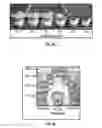 Fig. 08 - Method for enhancing soil growth using bio-char