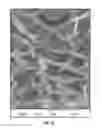 Fig. 11 - Method for enhancing soil growth using bio-char