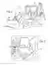 Fig. 02 - MULTIFUNCTIONAL CONTROL FOR A WORK VEHICLE