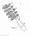 Fig. 02 - Brush to Simulate Natural Grooming