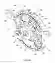 Fig. 07 - ROTARY PISTON INTERNAL COMBUSTION ENGINE