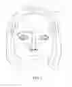 Fig. 02 - Golden ratio eyebrow shaping method