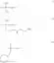 Fig. 09 - METHOD FOR CHEMICAL SMOOTHING OF HUMAN HAIRS