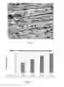 Fig. 06 - Method and apparatus for treating a steel article