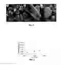 Fig. 02 - Energetic materials and methods of tailoring electrostatic discharge sensitivity of energetic materials