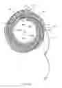 Fig. 06 - Shutter slat