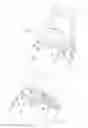 Fig. 07 - HORSE BOOT WITH ELASTIC FASTENER