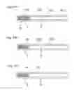 Fig. 05 - Rope terminal assembly and an elevator