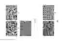 Fig. 03 - STABILIZED NANOFIBERS, METHODS FOR PRODUCING, AND APPLICATIONS THEREOF