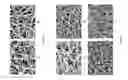 Fig. 04 - STABILIZED NANOFIBERS, METHODS FOR PRODUCING, AND APPLICATIONS THEREOF