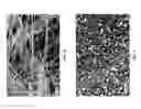 Fig. 07 - STABILIZED NANOFIBERS, METHODS FOR PRODUCING, AND APPLICATIONS THEREOF