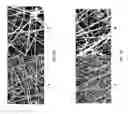 Fig. 11 - STABILIZED NANOFIBERS, METHODS FOR PRODUCING, AND APPLICATIONS THEREOF