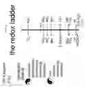 Fig. 05 - ASSEMBLIES AND METHODS FOR TREATING WASTEWATER