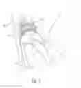 Fig. 06 - Bottle closure with easy open tabs