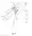 Fig. 09 - Bottle closure with easy open tabs
