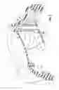 Fig. 06 - Fluid dispensing valve