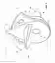 Fig. 08 - Fluid dispensing valve