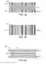 Fig. 09 - System and method for transmitting data