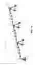 Fig. 02 - VARIABLE-SPEED IRRIGATION SYSTEM