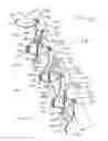 Fig. 13 - Irrigation system