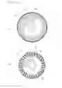 Fig. 04 - Suction roll device